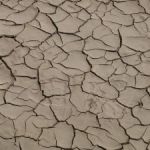 Hunger in the Desert: Famine in Somalia
