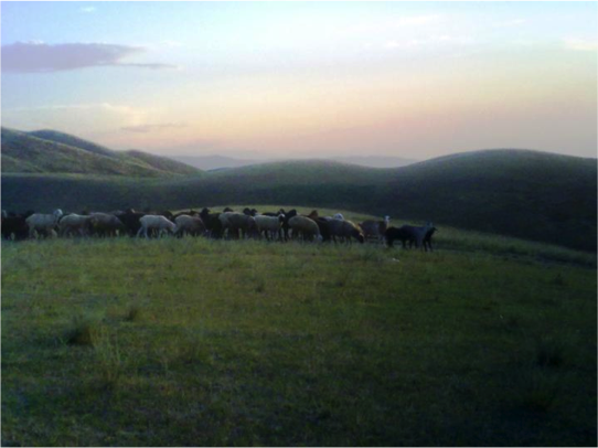 Kyrgystan Mounains by Meerim Shakirova