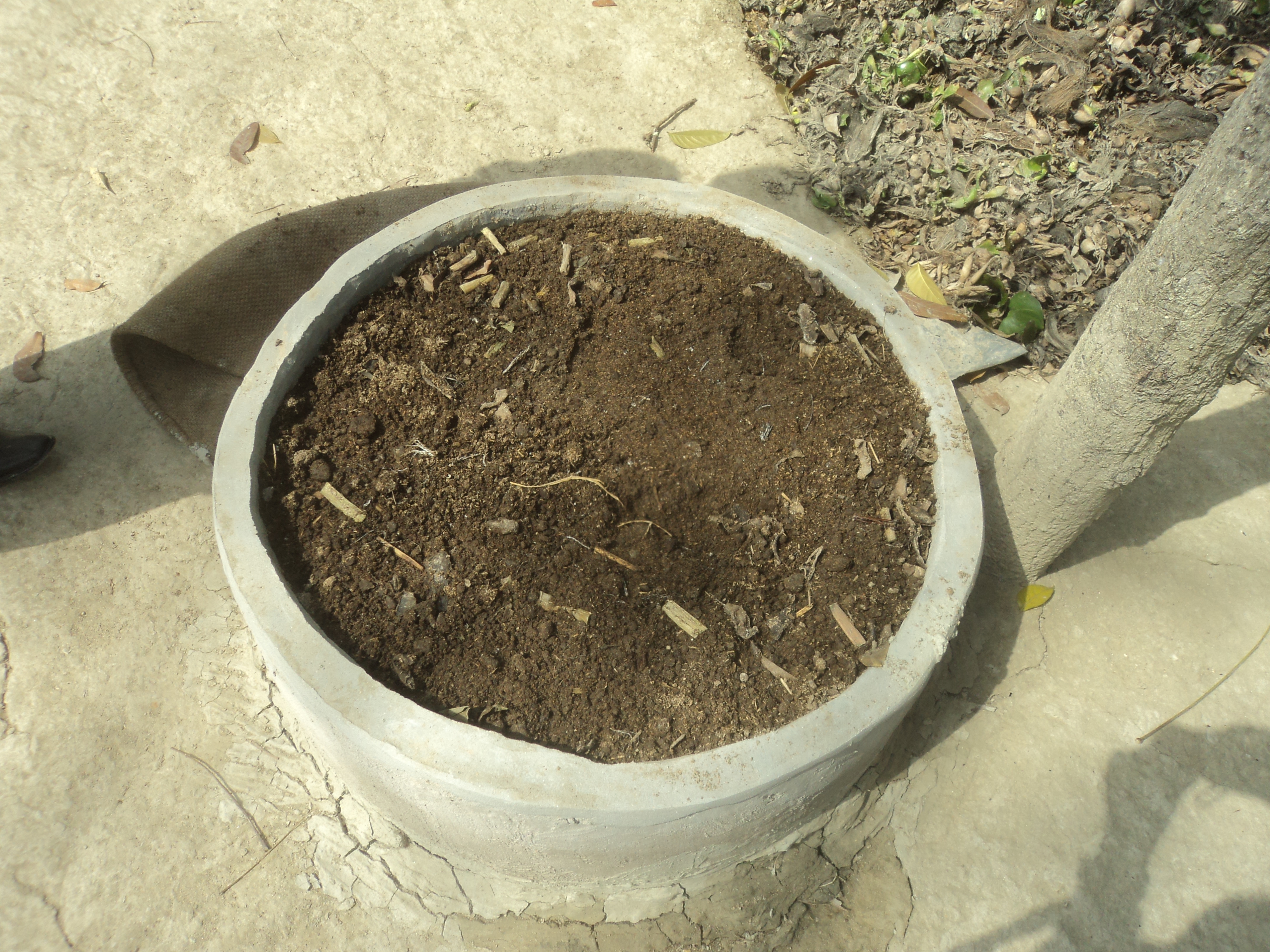 vermi compost one of the element in bio village