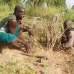 sahel eco