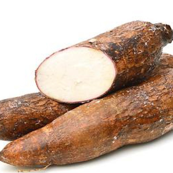 cassava 