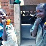 Orange Sweet Potato Reduces Diarrhea in Children, Study Finds