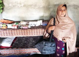 Business in Box: A social Innovation to Take SDGs to Every Household