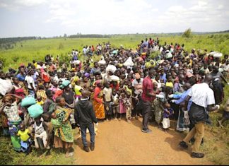 Refugee resettlement in Uganda: separating the wheat from the chaff