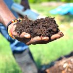 Productivity from waste: SOIL’s integrated approach to innovation at the food-health nexus