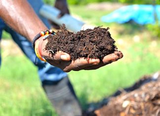Productivity from waste: SOIL’s integrated approach to innovation at the food-health nexus