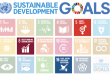COVID-19 crisis threatens Sustainable Development Goals financing, says OECD