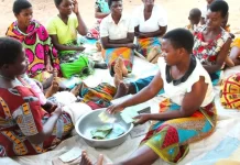 Building Financial Resilience: How Savings and Loan Associations are Changing Lives in Rural Malawi
